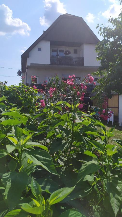 Leander Apartman Balatonlelle Exterior foto